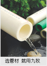 �ӱ��W����